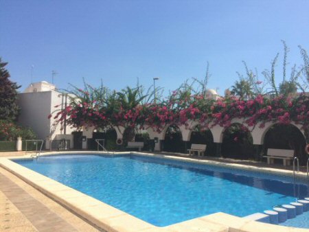 Beautiful swimming pool